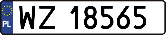 WZ18565