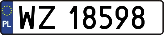 WZ18598