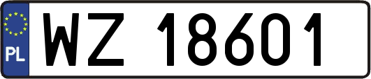 WZ18601