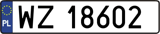 WZ18602
