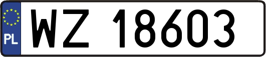 WZ18603