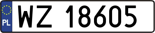 WZ18605