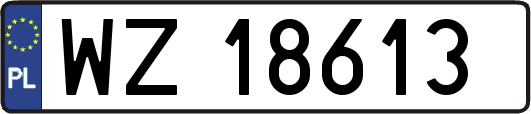 WZ18613