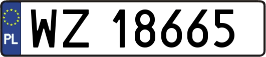 WZ18665