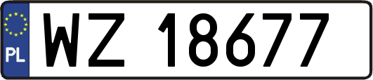 WZ18677