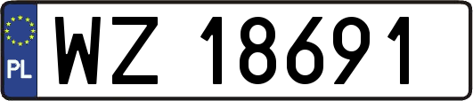 WZ18691
