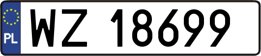 WZ18699