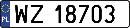 WZ18703