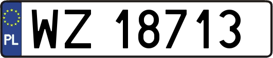 WZ18713