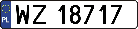 WZ18717