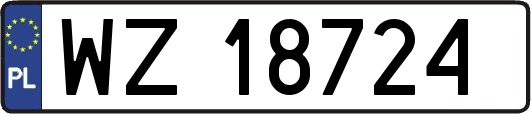 WZ18724