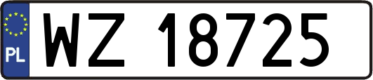WZ18725