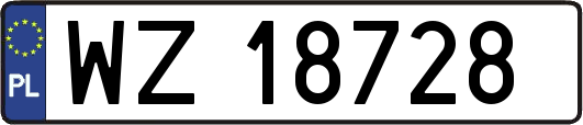 WZ18728