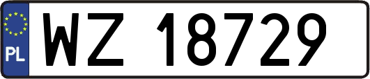WZ18729