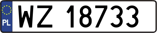 WZ18733