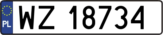WZ18734