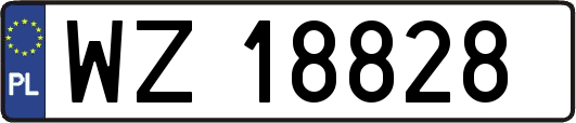 WZ18828