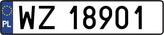 WZ18901