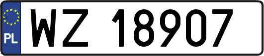 WZ18907