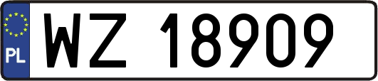 WZ18909