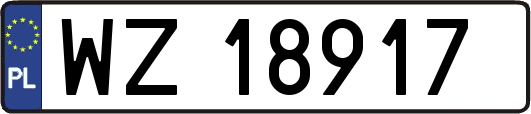 WZ18917