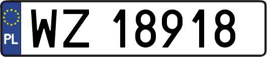 WZ18918