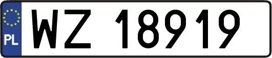 WZ18919