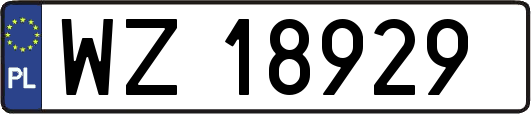 WZ18929