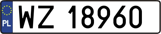 WZ18960