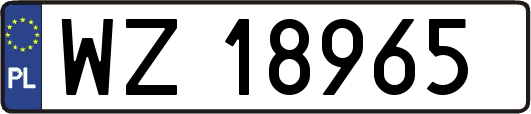 WZ18965