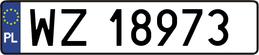 WZ18973