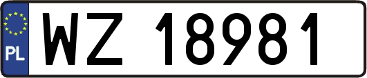 WZ18981