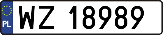 WZ18989