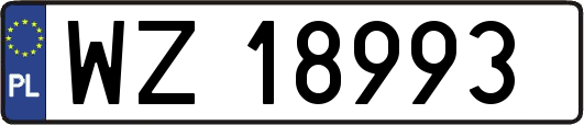 WZ18993