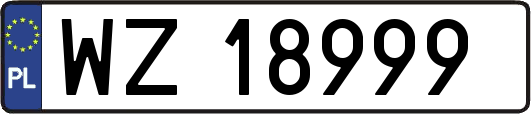WZ18999