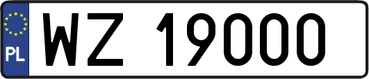 WZ19000