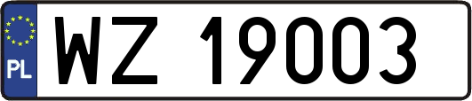WZ19003