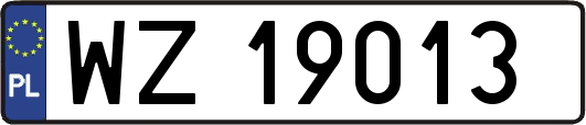WZ19013