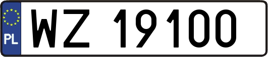 WZ19100