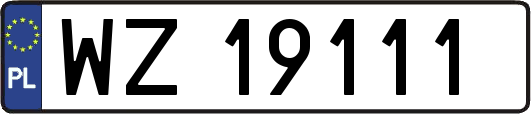 WZ19111
