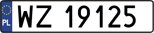 WZ19125