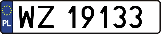 WZ19133
