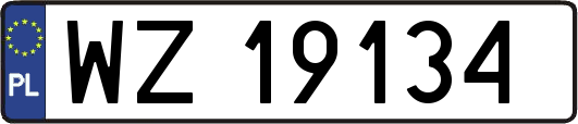 WZ19134