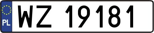WZ19181