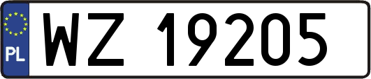 WZ19205