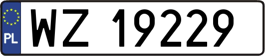 WZ19229