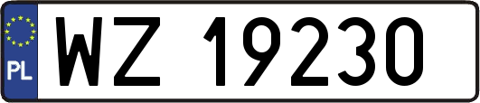 WZ19230