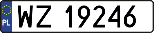 WZ19246