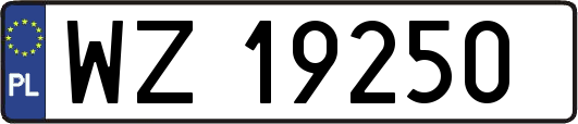 WZ19250