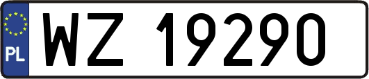 WZ19290